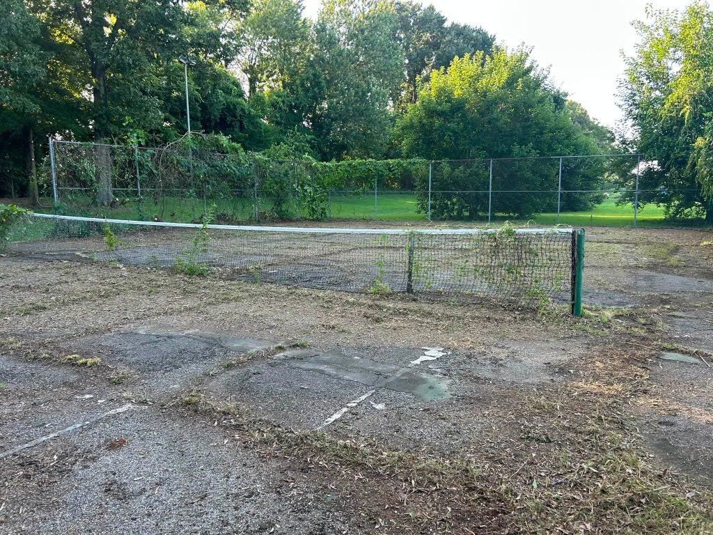 Derelict court on a wooded lot: cracked asphalt with weeds through the surface, a sagging net, vine-covered chain-link and a light pole against the tree line.