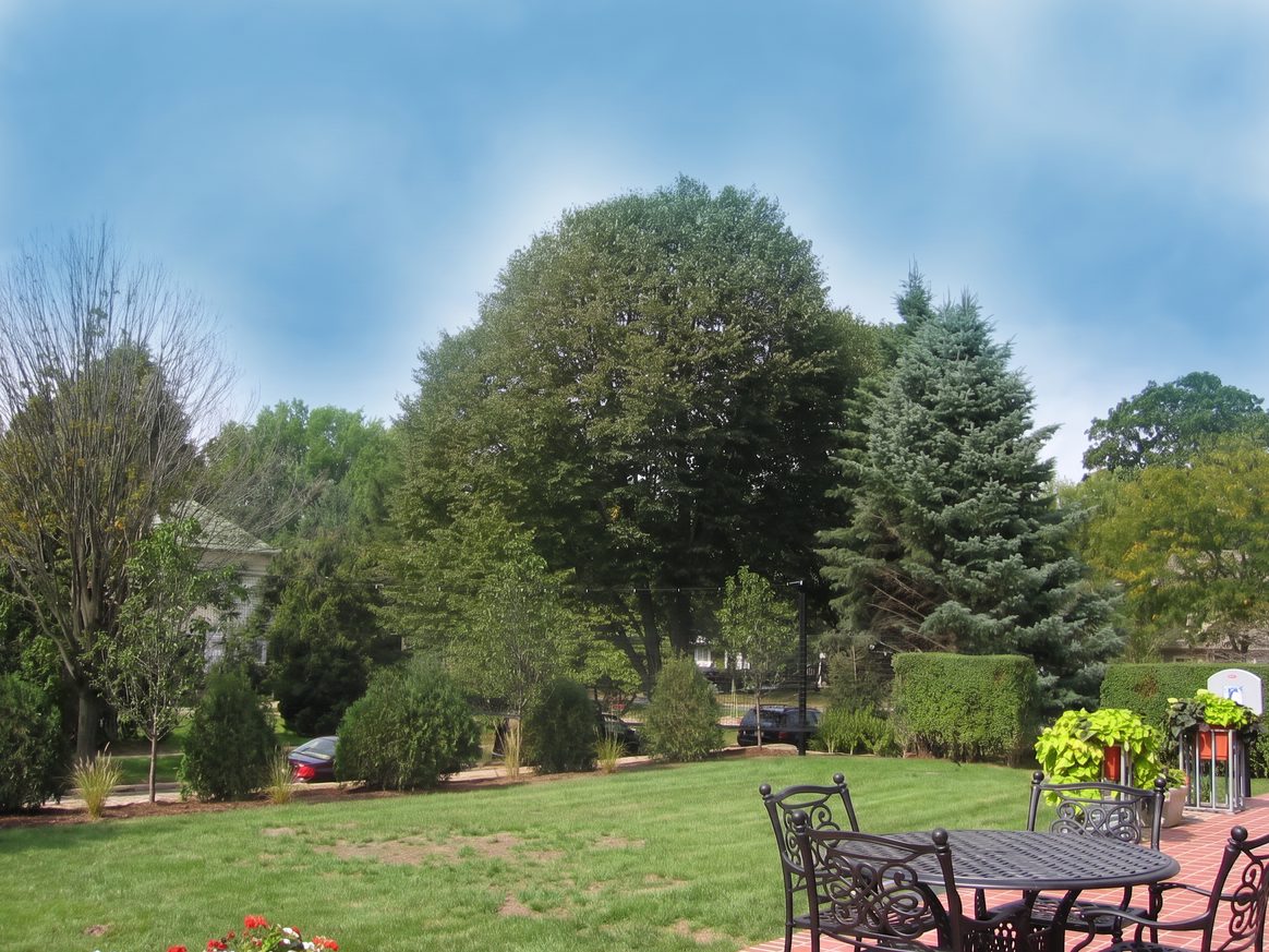 Eye-level concept visualization from a patio with the court removed, open lawn and a single basketball hoop in front of the tree line.